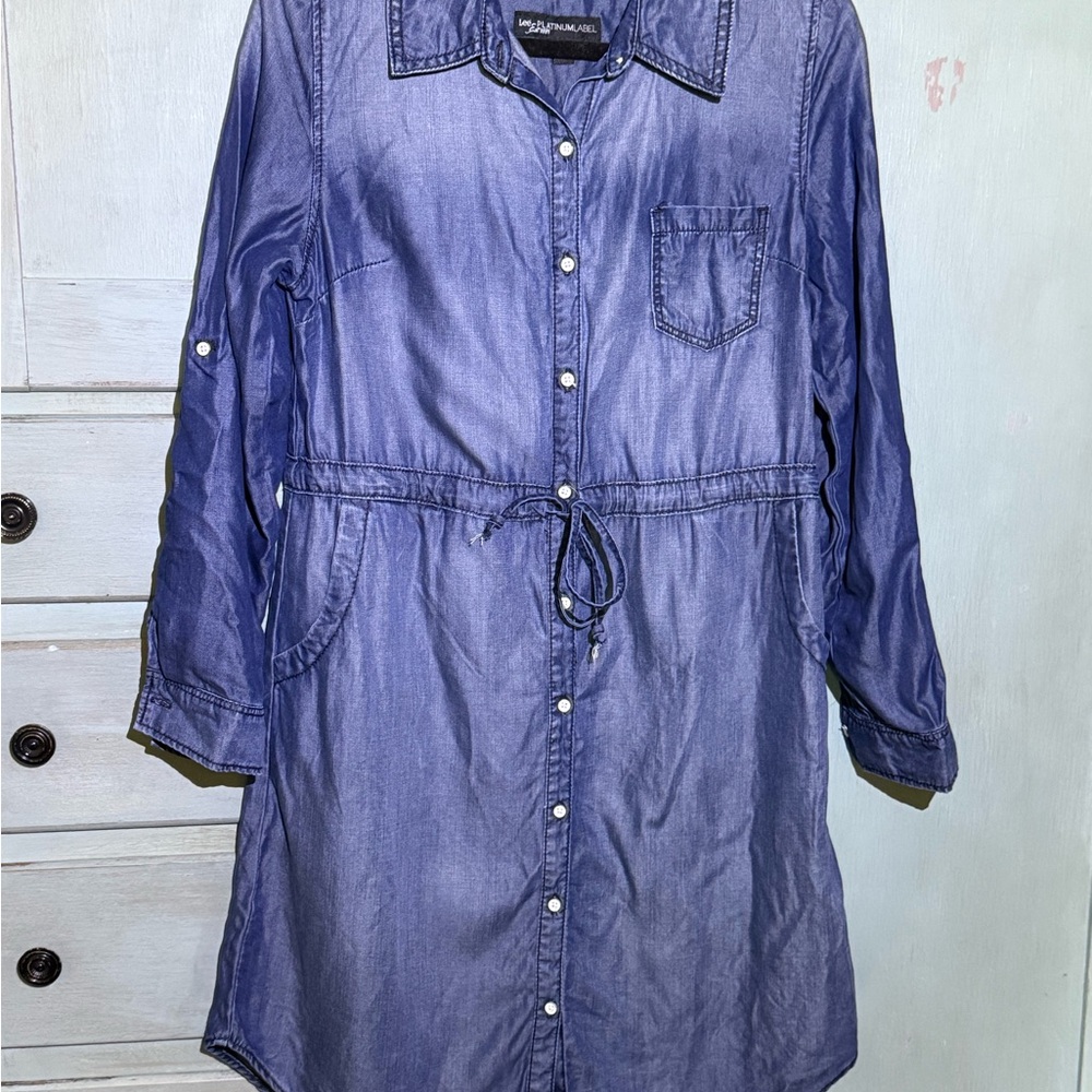 Platinum Label Blue Denim Dress